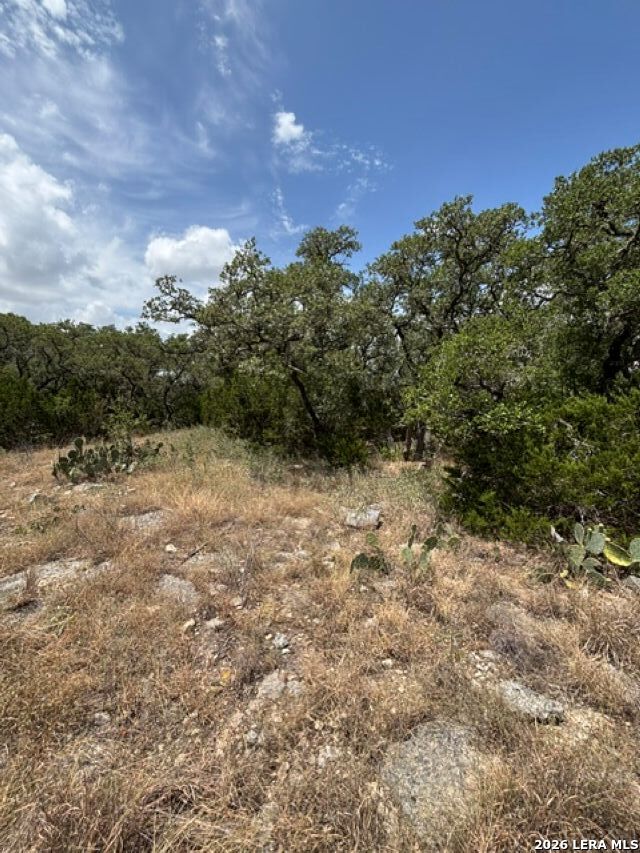 Lot 37 Pr 2532 Mico TX 78056