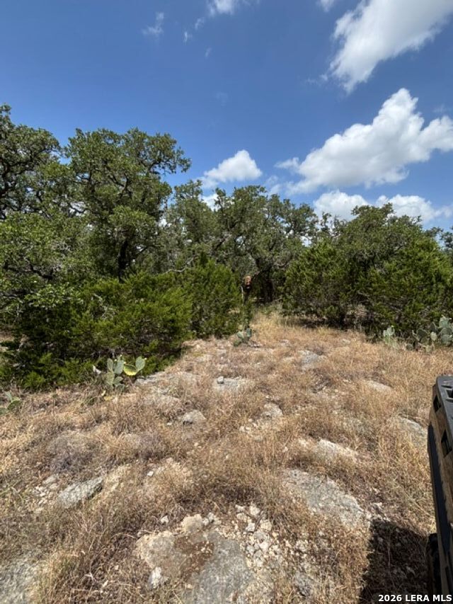 Lot 37 Pr 2532 Mico TX 78056