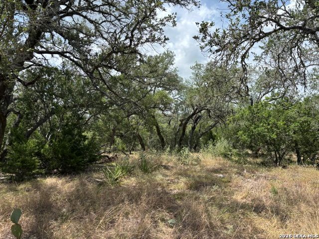 Lot 37 Pr 2532 Mico TX 78056
