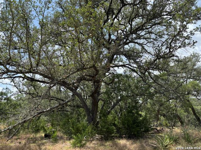 Lot 37 Pr 2532 Mico TX 78056