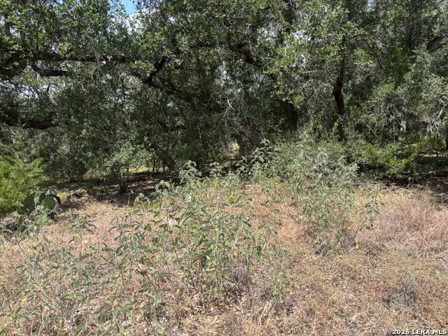 Lot 37 Pr 2532 Mico TX 78056