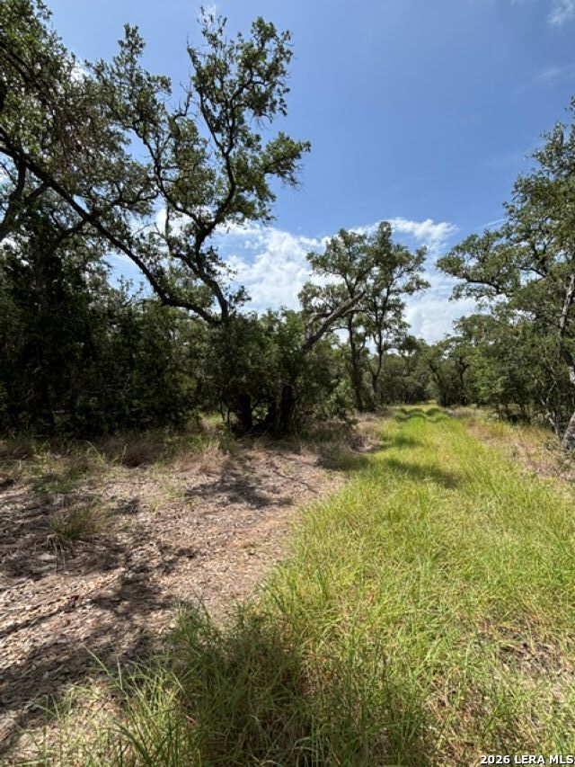 Lot 37 Pr 2532 Mico TX 78056