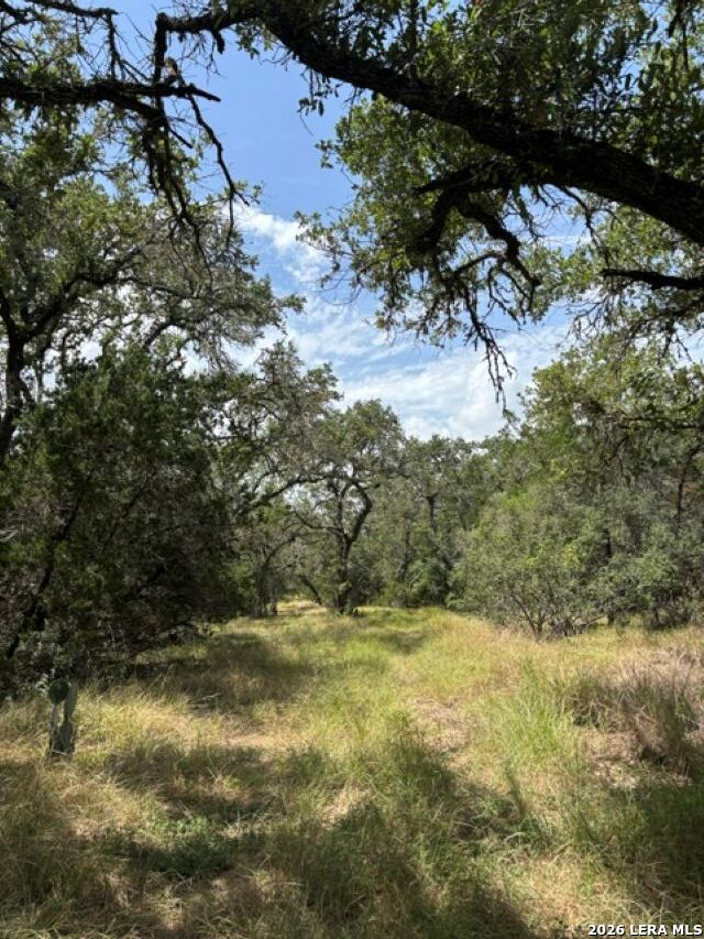 Lot 37 Pr 2532 Mico TX 78056