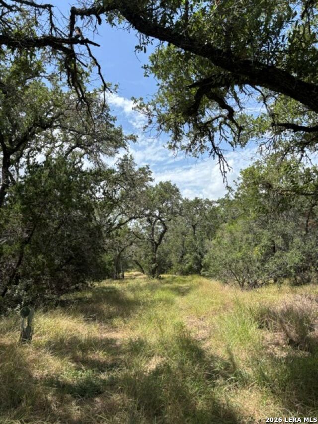 Lot 37 Pr 2532 Mico TX 78056