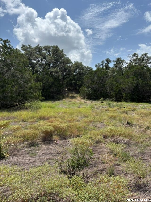 Lot 37 Pr 2532 Mico TX 78056