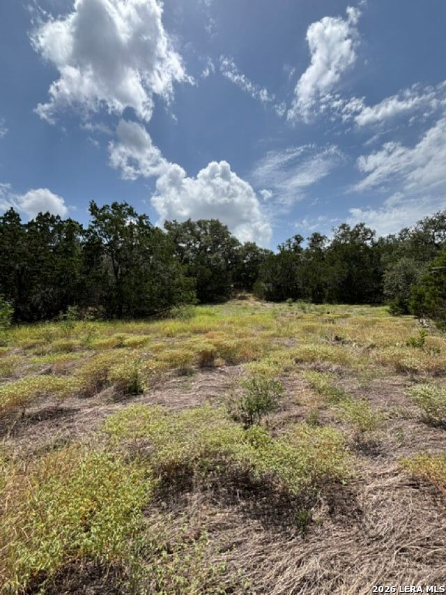 Lot 37 Pr 2532 Mico TX 78056