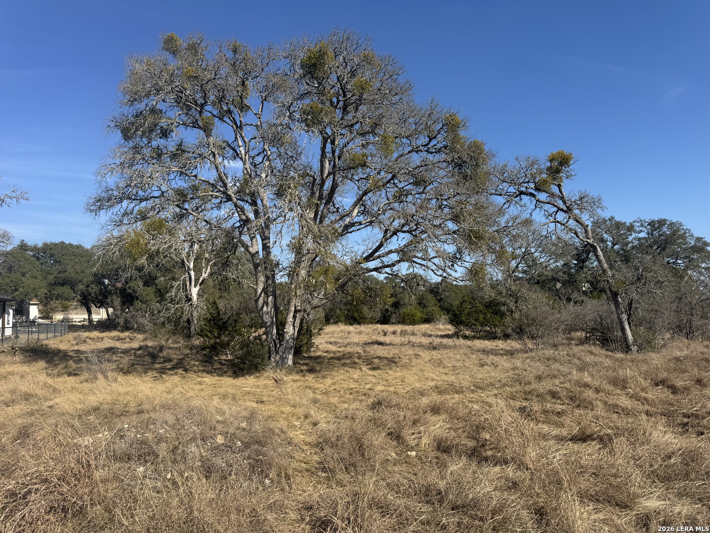 223 George Dolson Blanco TX 78606