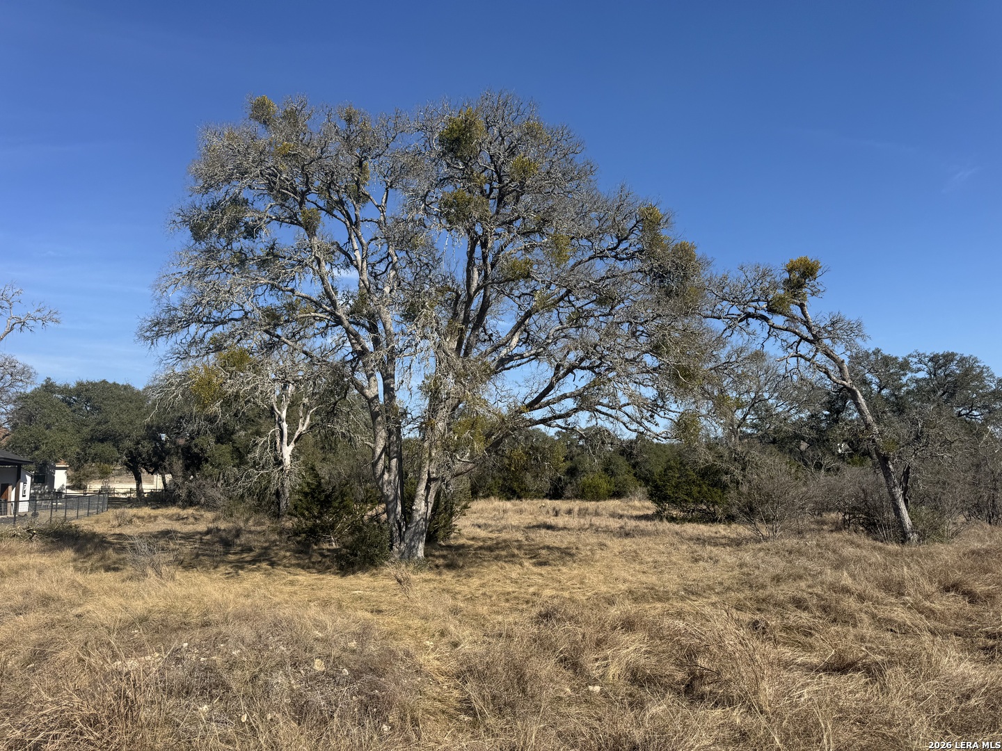 223 George Dolson Blanco TX 78606