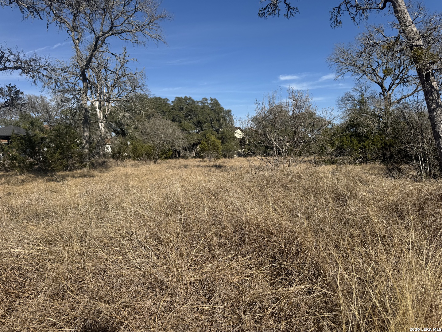 223 George Dolson Blanco TX 78606