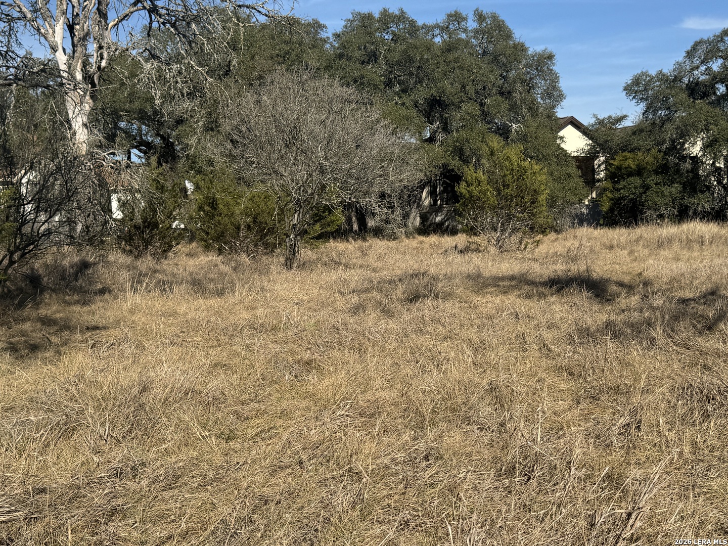 223 George Dolson Blanco TX 78606