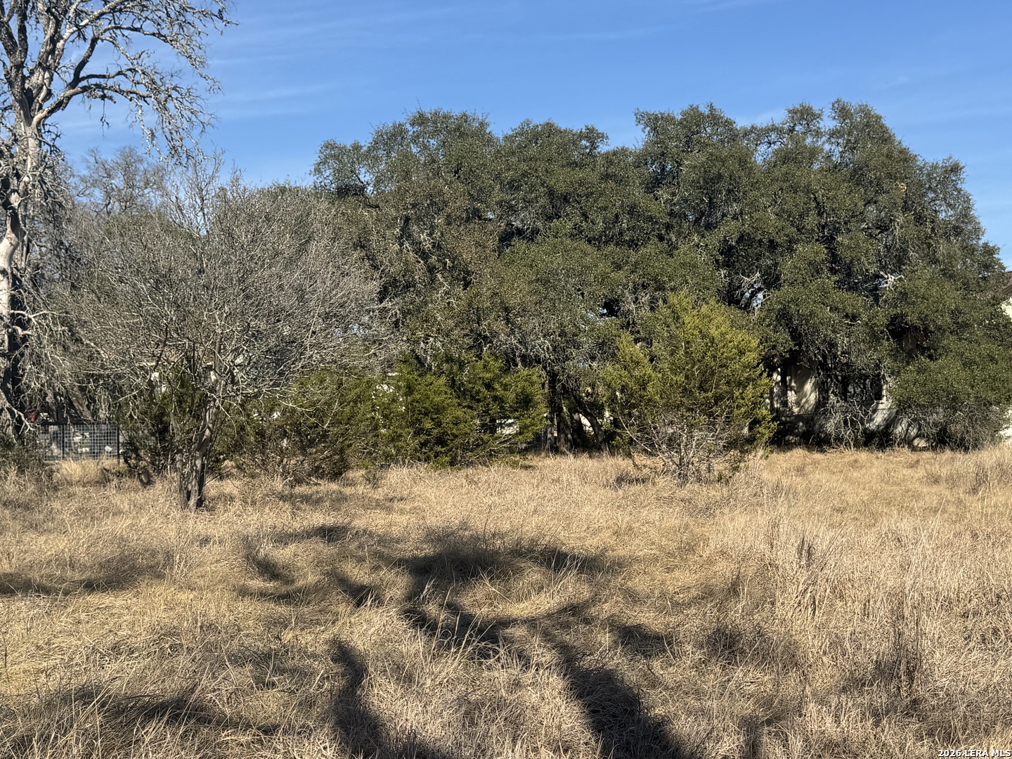 223 George Dolson Blanco TX 78606