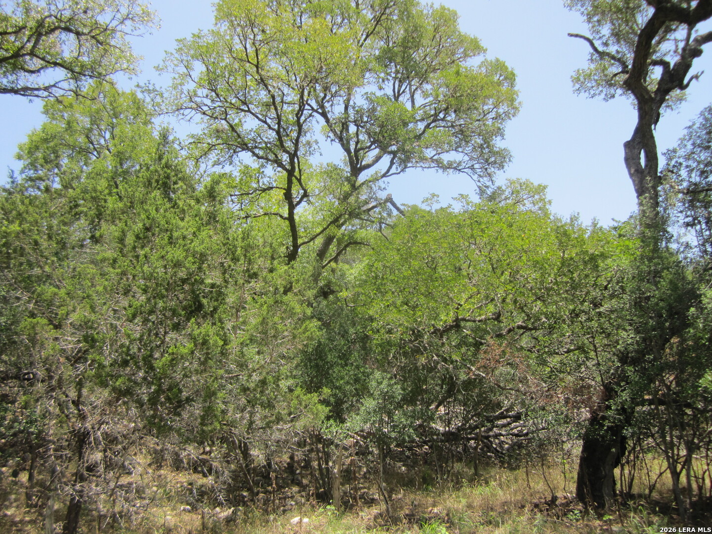 15.117 Acres Scenic Loop Pipe Creek TX 78063