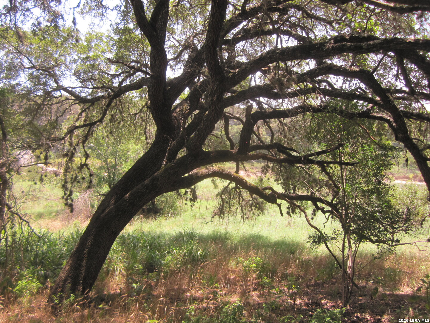 15.117 Acres Scenic Loop Pipe Creek TX 78063