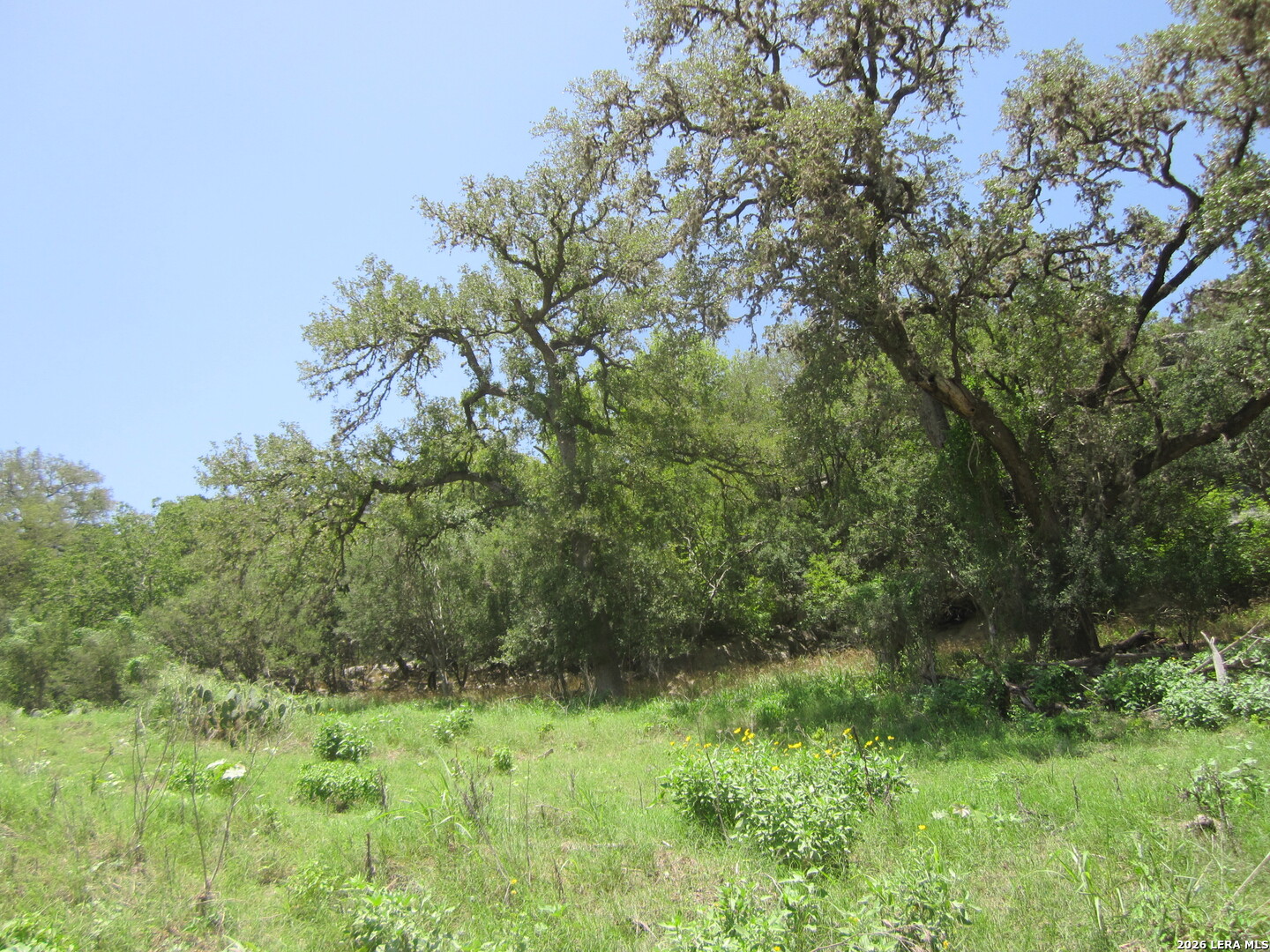15.117 Acres Scenic Loop Pipe Creek TX 78063