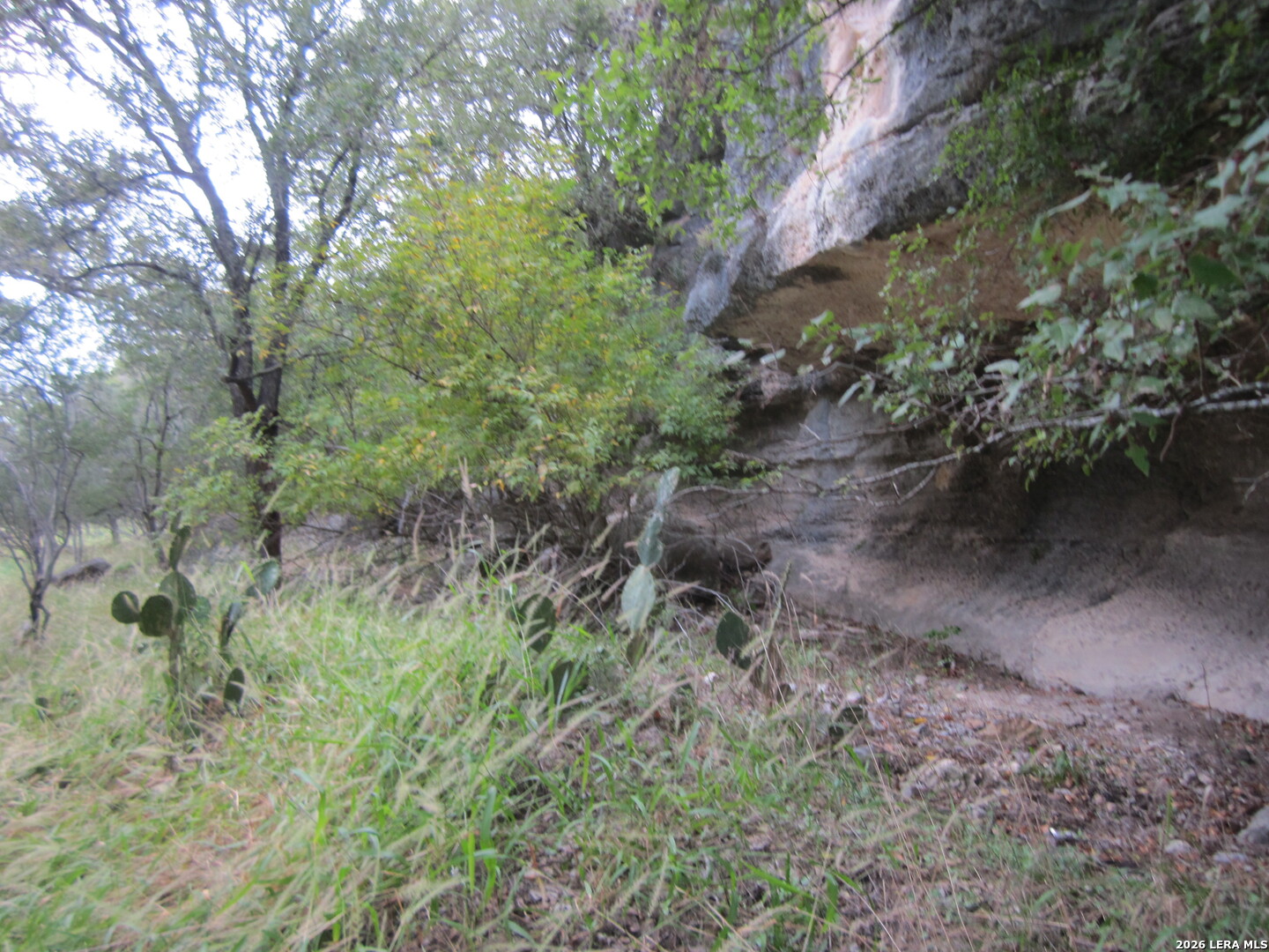 15.117 Acres Scenic Loop Pipe Creek TX 78063