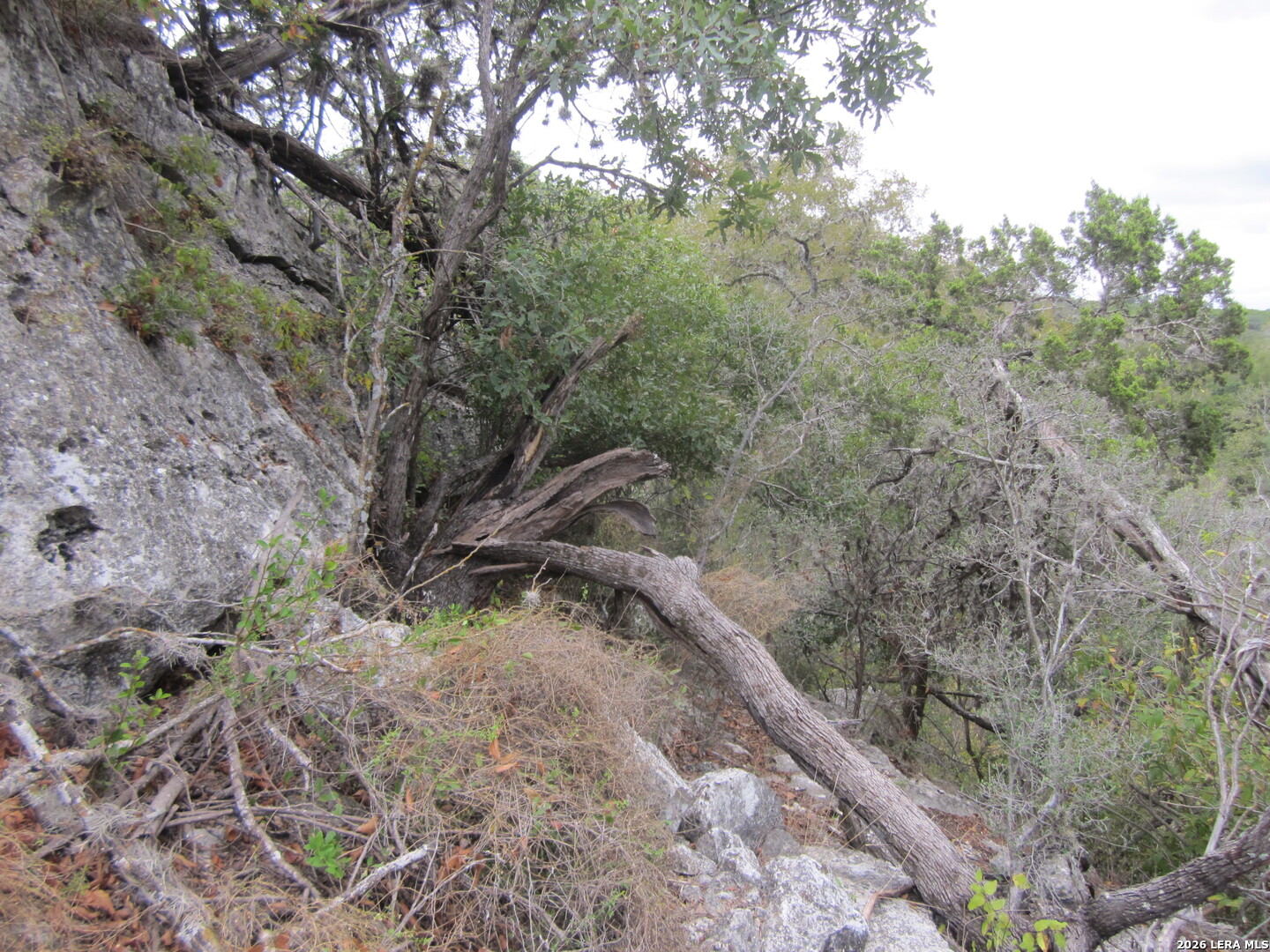 15.117 Acres Scenic Loop Pipe Creek TX 78063