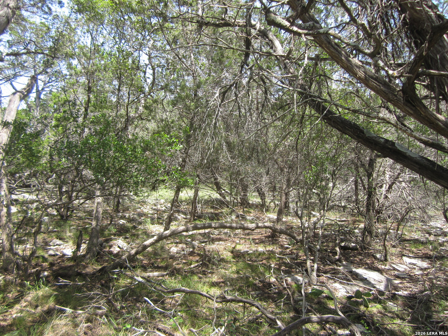 15.117 Acres Scenic Loop Pipe Creek TX 78063
