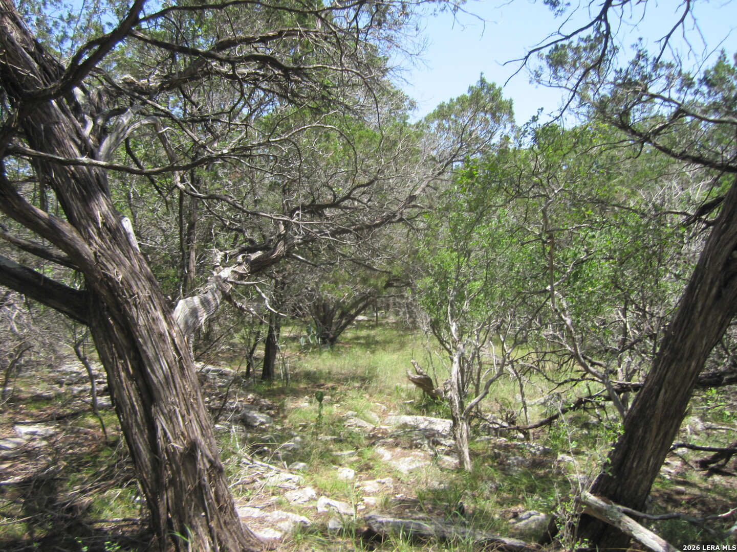 15.117 Acres Scenic Loop Pipe Creek TX 78063