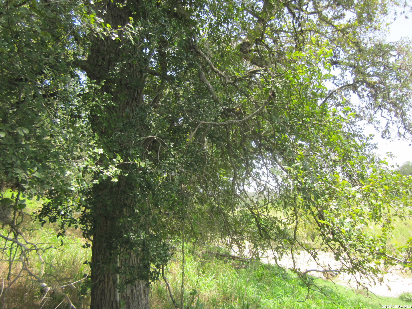 15.117 Acres Scenic Loop Pipe Creek TX 78063