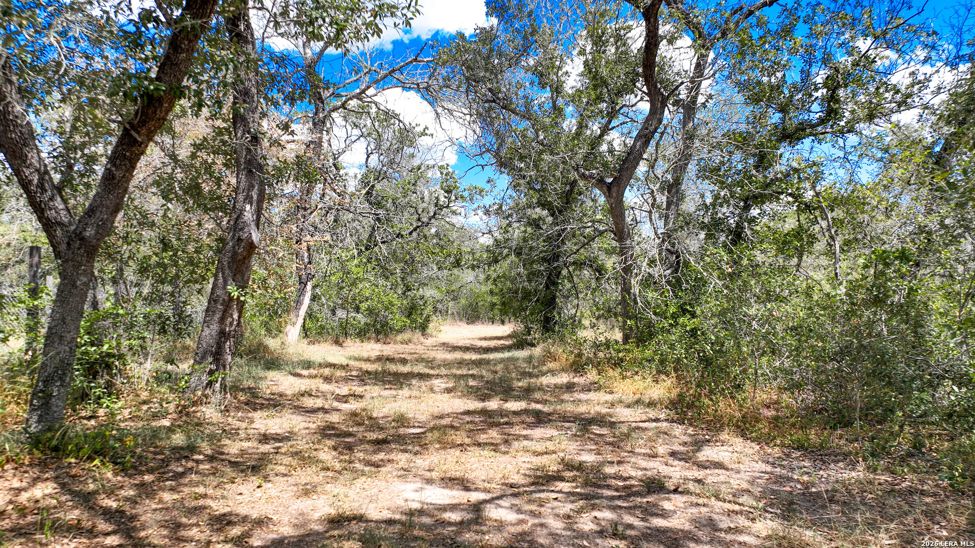 20 Clear Lake Loop Poteet TX 78065
