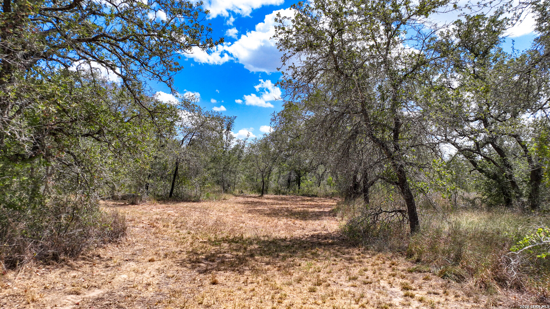20 Clear Lake Loop Poteet TX 78065