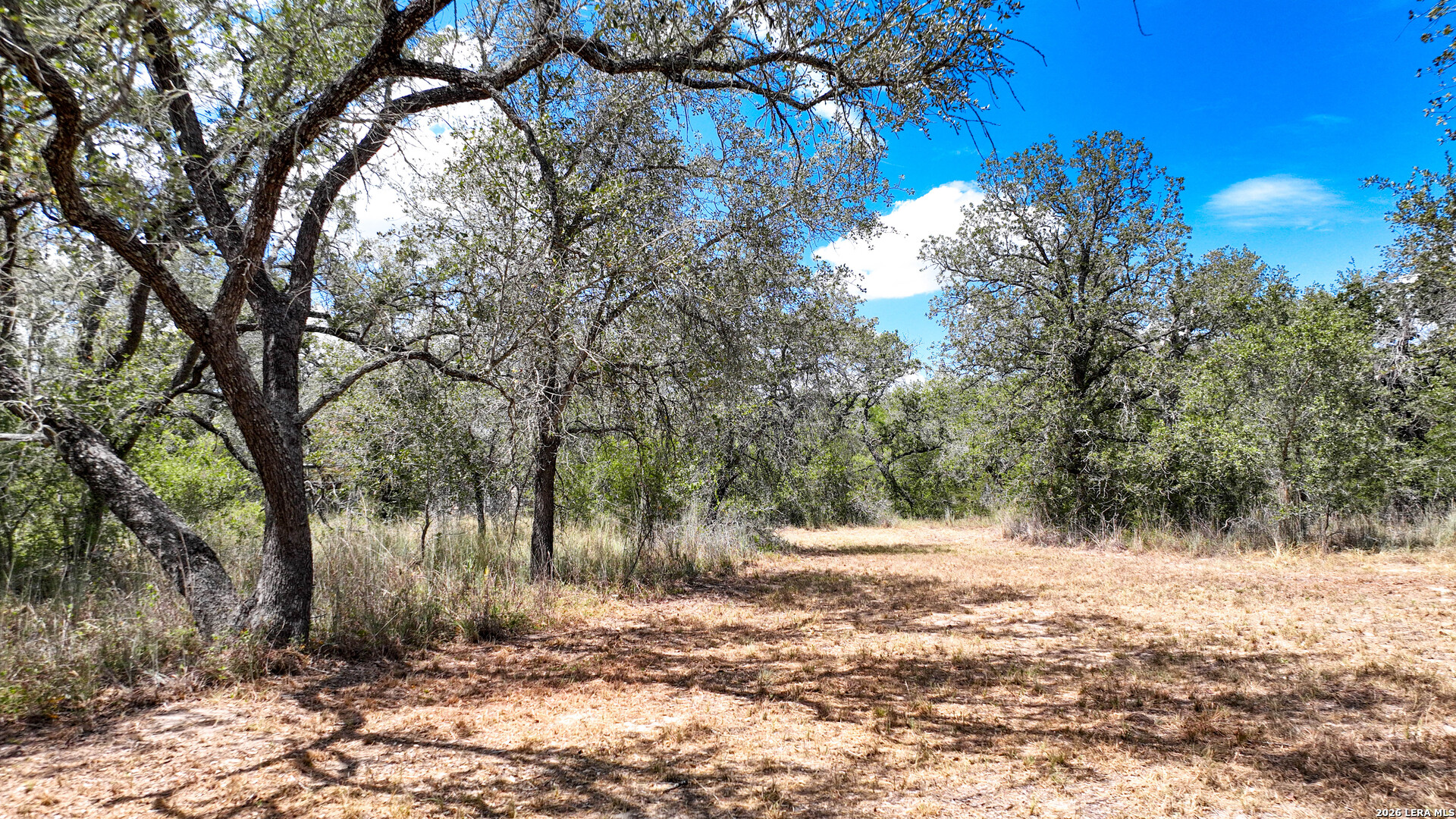 20 Clear Lake Loop Poteet TX 78065