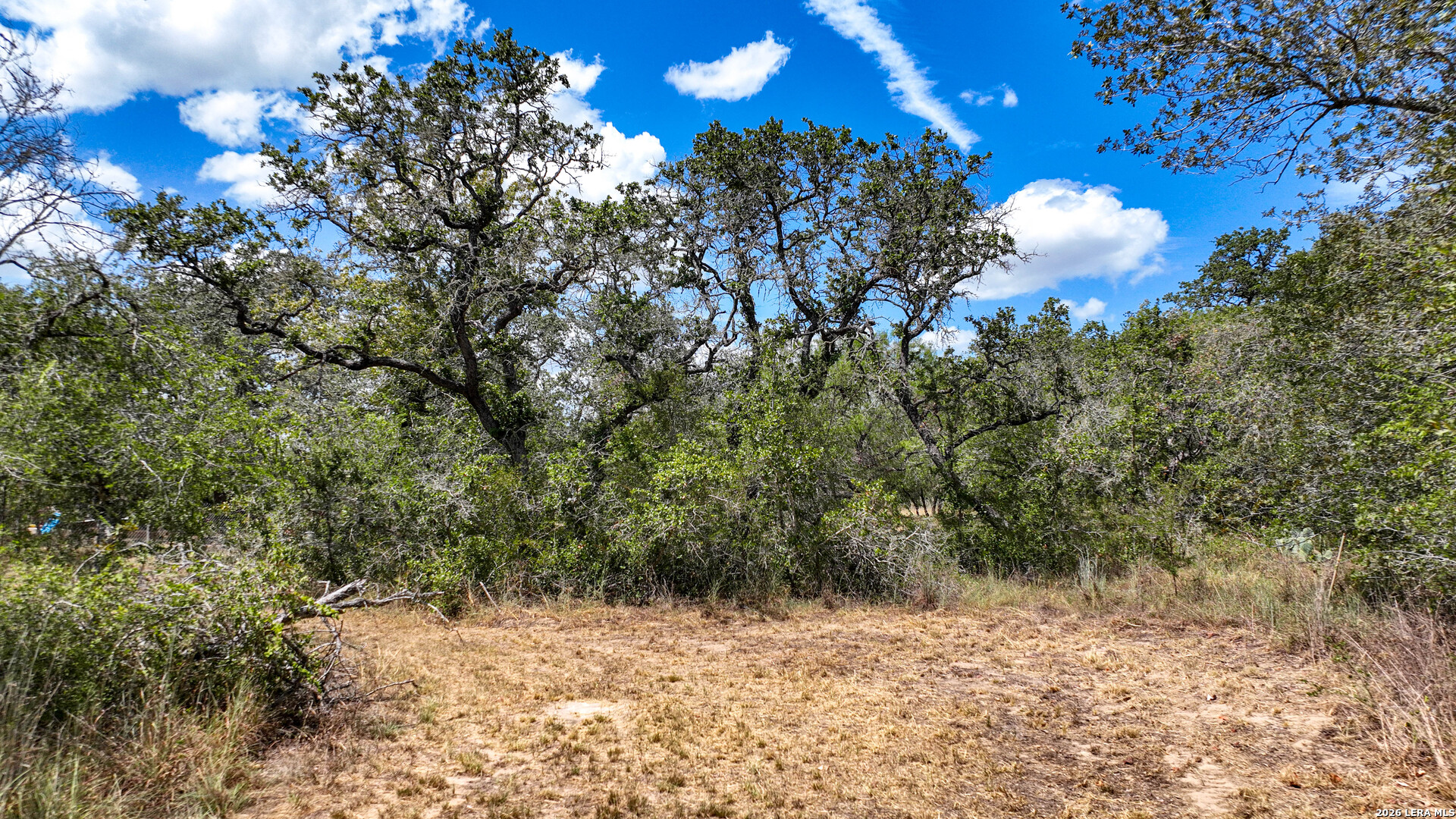 20 Clear Lake Loop Poteet TX 78065