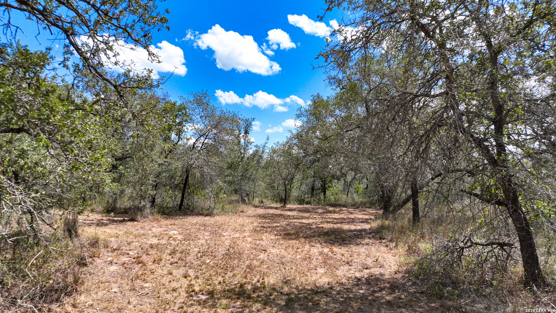 20 Clear Lake Loop Poteet TX 78065