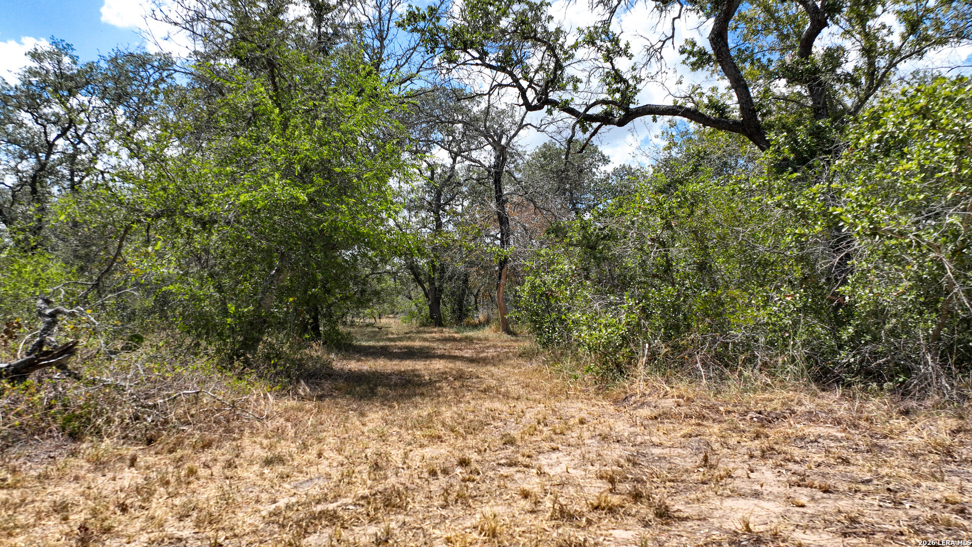 20 Clear Lake Loop Poteet TX 78065
