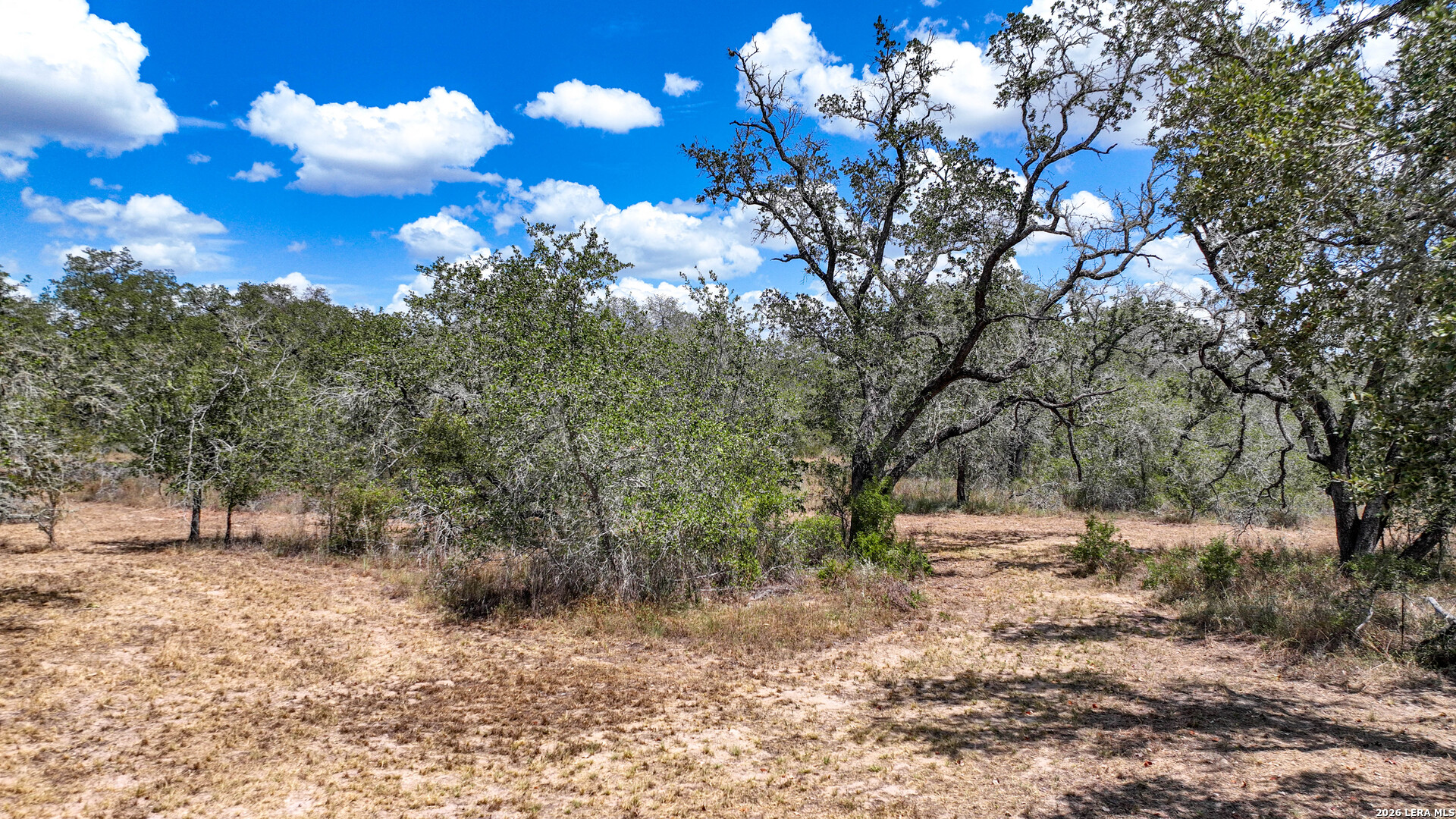 20 Clear Lake Loop Poteet TX 78065