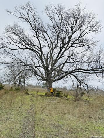 405 County Road 96 Purmela TX 76566