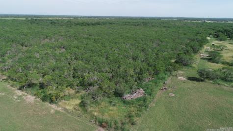Tbd T1 Highway 239 Goliad TX 77963