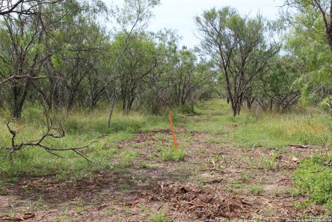 Tbd T1 Highway 239 Goliad TX 77963