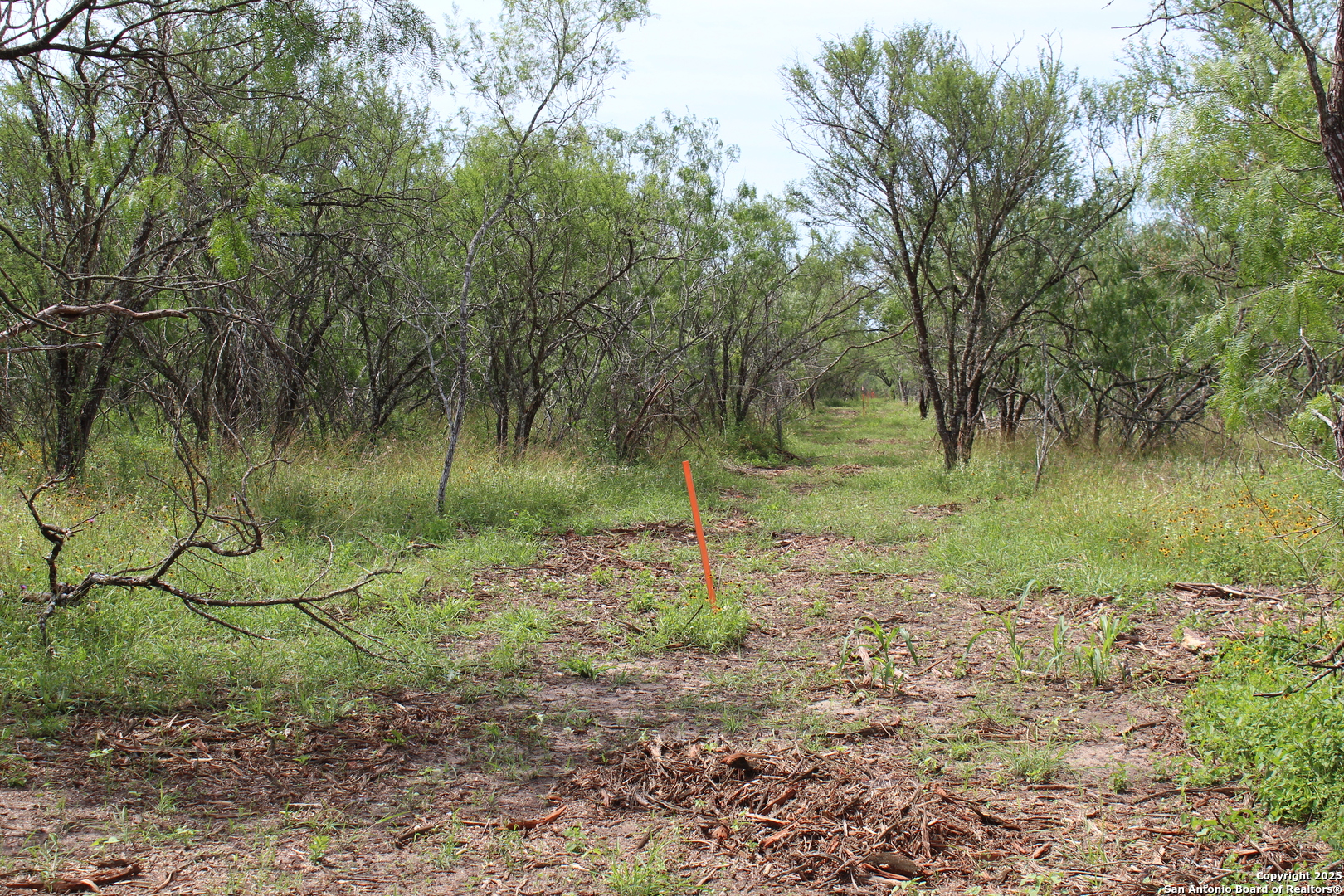 Tbd T1 Highway 239 Goliad TX 77963