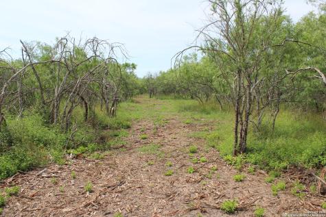 Tbd T1 Highway 239 Goliad TX 77963