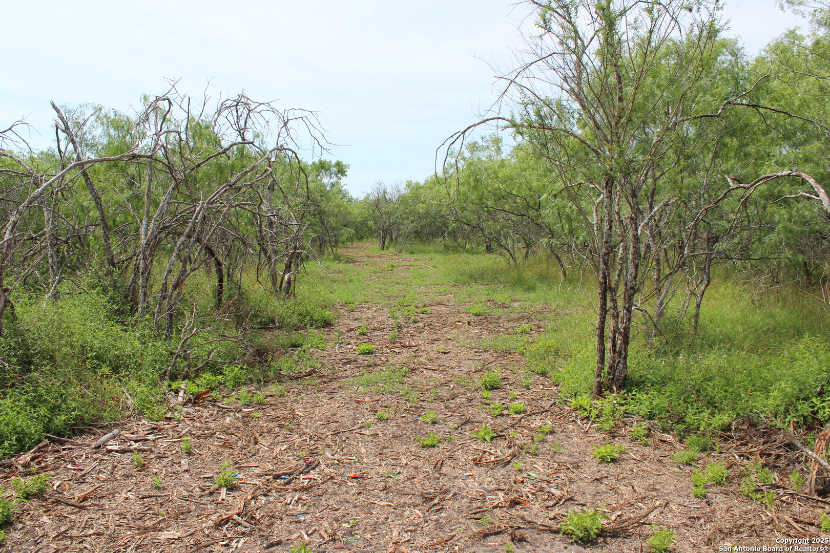 Tbd T1 Highway 239 Goliad TX 77963