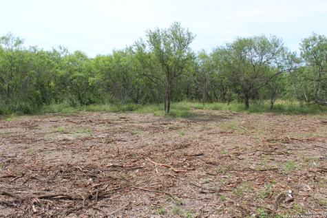 Tbd T1 Highway 239 Goliad TX 77963
