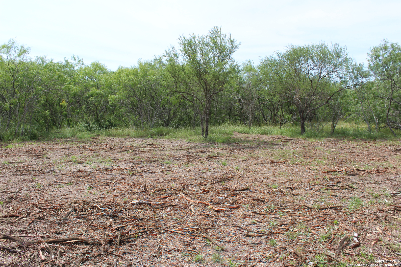 Tbd T1 Highway 239 Goliad TX 77963