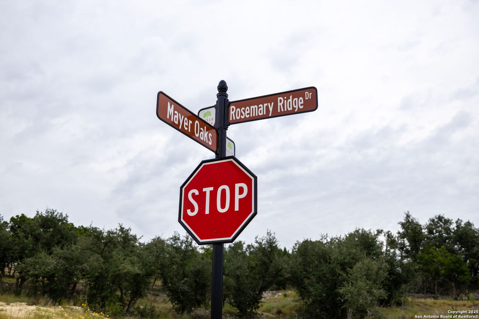 593 Rosemary Ridge Bulverde TX 78163