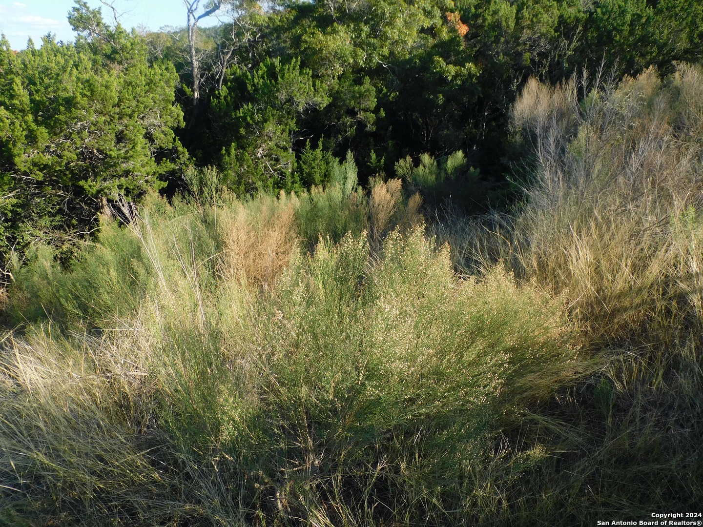 22202 Ravine San Antonio TX 78255