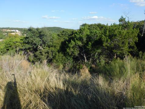 22202 Ravine San Antonio TX 78255