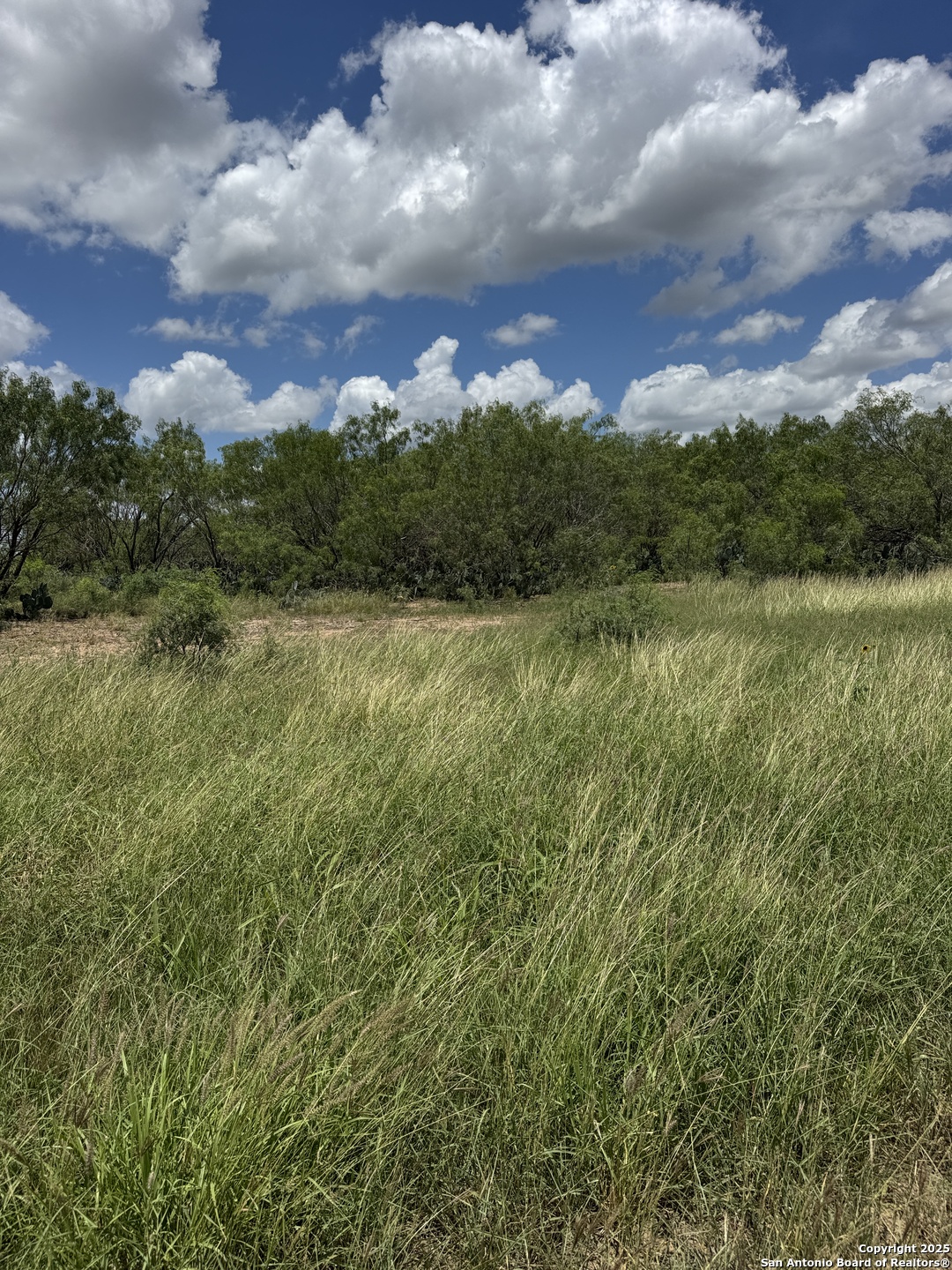 04 Windmill Ranchettes Cr 329 Jourdanton TX 78026