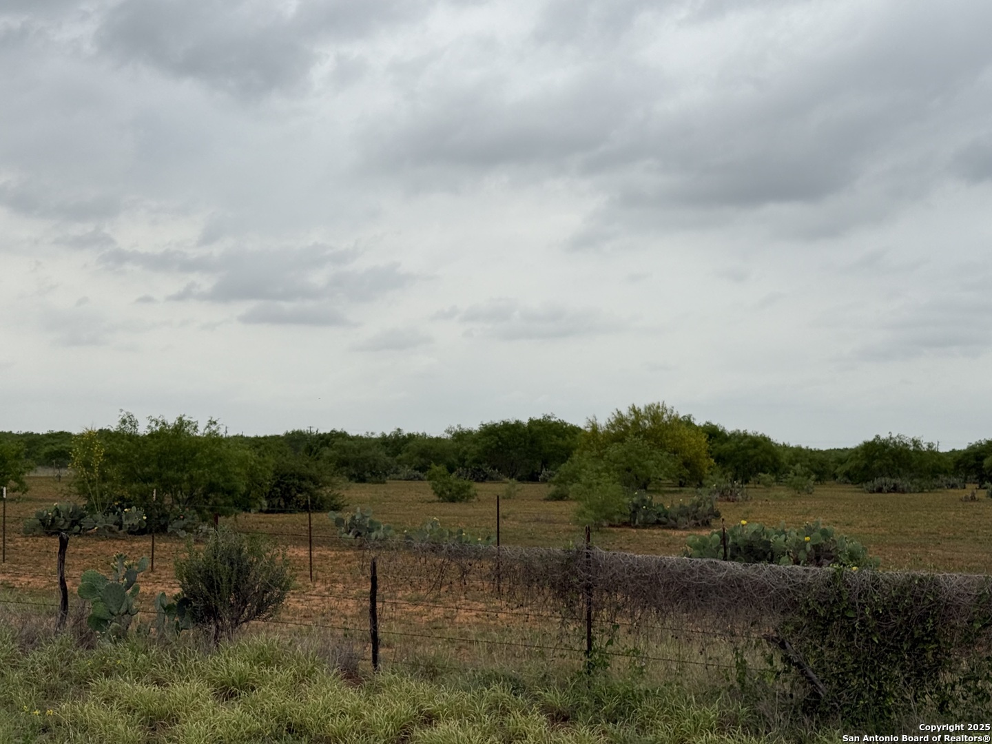 8762 Fm 140 Charlotte TX 78011