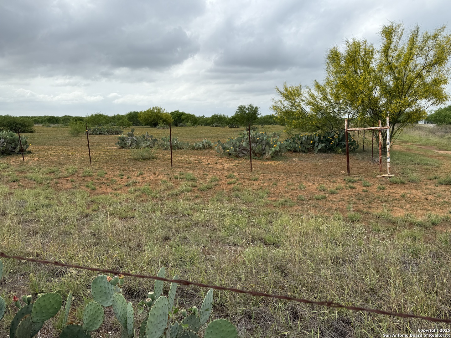 8762 Fm 140 Charlotte TX 78011