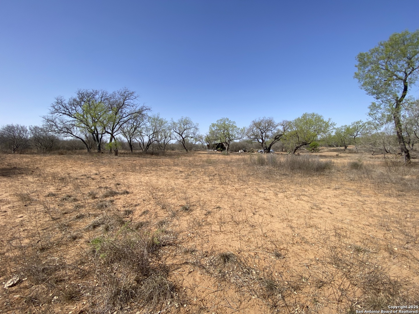 185 E Cr 2662 Devine TX 78016