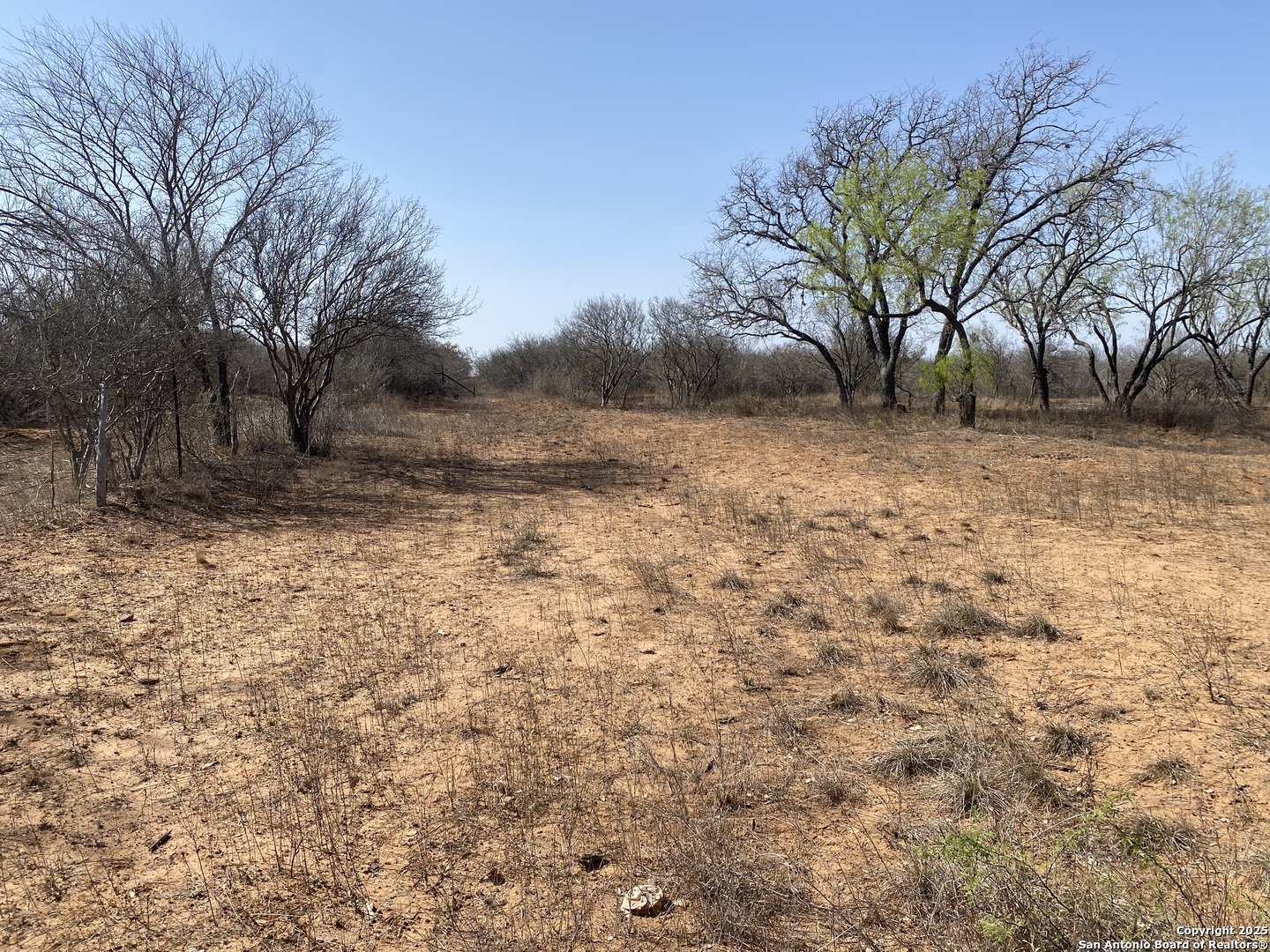 185 E Cr 2662 Devine TX 78016