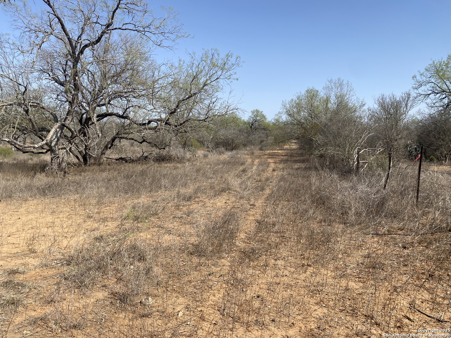 185 E Cr 2662 Devine TX 78016