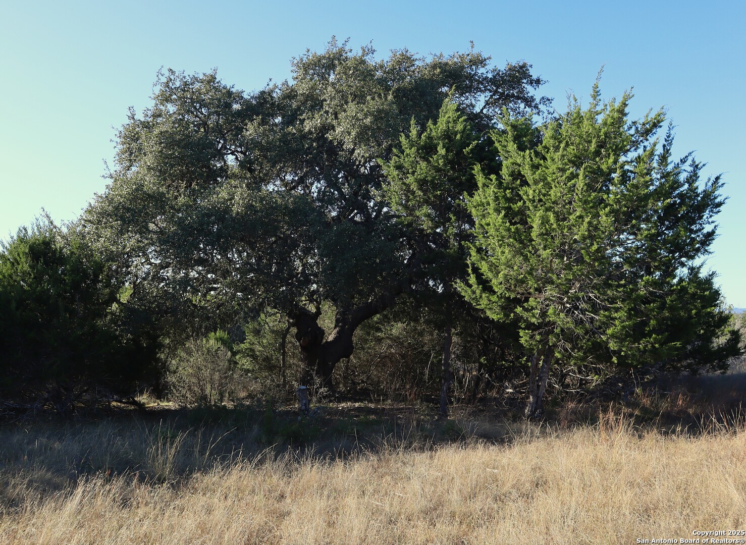 Lot 31 Lariat Trace Bandera TX 78003