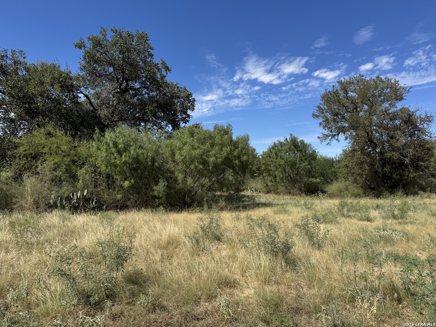 600 Rio Street Uvalde TX 78801