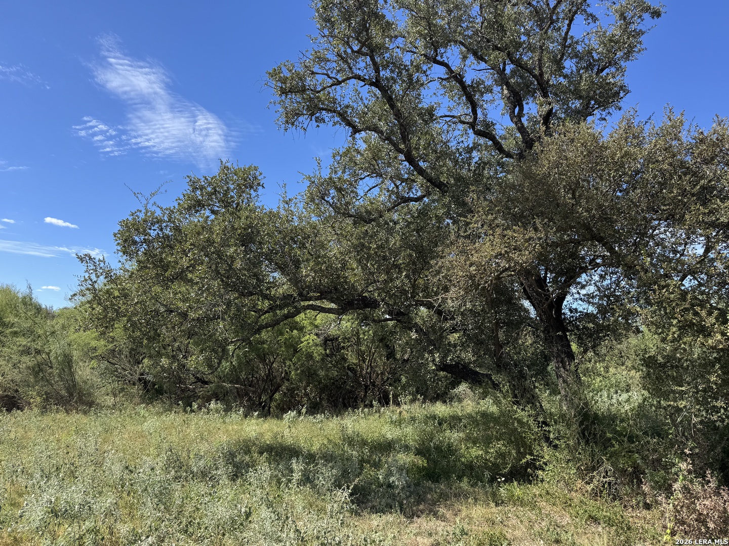 600 Rio Street Uvalde TX 78801